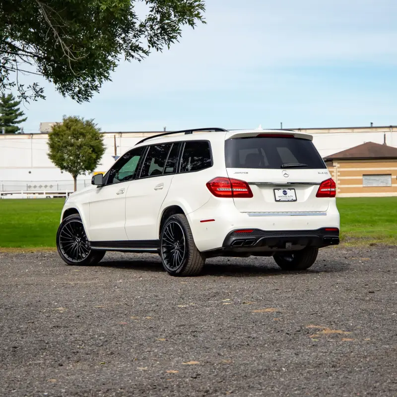 2019 Mercedes-AMG GLS63 photo 2